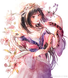 Rule 34 | 1girl, absurdres, artist request, blush, brown hair, chi lian (qin shi ming yue), dress, flower, hair ornament, highres, long hair, looking at another, pink dress, python, qinshi mingyue, second-party source, smile, snake, solo, tiara, white background