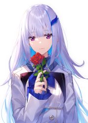 Rule 34 | 1girl, absurdres, blue hair, closed mouth, commentary request, flower, frilled sleeves, frills, hair ornament, hand up, highres, holding, holding flower, jacket, lize helesta, long hair, long sleeves, looking at viewer, multicolored hair, nijisanji, purple eyes, red flower, red rose, rose, shirt, silver hair, simple background, sleeves past wrists, smile, solo, two-tone hair, upper body, very long hair, virtual youtuber, white background, white jacket, white shirt, yuuki nao (pixiv10696483)