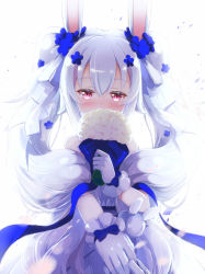 Rule 34 | 1girl, animal ears, azur lane, bare shoulders, blue bow, blue flower, blue ribbon, blush, bouquet, bow, covered mouth, dress, flower, gloves, hair between eyes, hair flower, hair ornament, hair ribbon, holding, holding bouquet, holding hands, laffey (azur lane), laffey (white rabbit&#039;s oath) (azur lane), long hair, looking at viewer, nitchi, out of frame, pink eyes, pov, pov hands, rabbit ears, ribbon, sash, silver hair, simple background, solo focus, twintails, very long hair, wedding dress, white background, white dress, white flower, white gloves, white ribbon