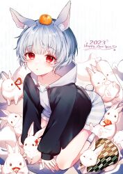 Rule 34 | 2023, :o, absurdres, androgynous, animal, animal ears, black jacket, blush, daifuku mame (kageroudt33), food, food on head, fruit, fruit on head, grey hair, happy new year, highres, hood, hood down, jacket, new year, object on head, orange (fruit), original, parted lips, rabbit, rabbit ears, rabbit tail, red eyes, seiza, short hair, sitting, solo, sweater, tail, white sweater
