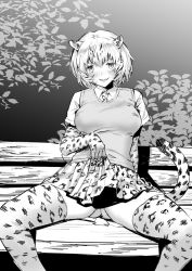Rule 34 | 1boy, animal ears, animal print, arm behind back, cat girl, clothes lift, collared shirt, day, elbow gloves, extra ears, flashing, gloves, gluteal fold, greyscale, highres, hihiyama yokikana, kemono friends, leaning back, leopard (kemono friends), leopard ears, leopard print, leopard tail, lifting own clothes, looking at viewer, medium hair, miniskirt, monochrome, necktie, open mouth, outdoors, panties, pleated skirt, print gloves, print skirt, print thighhighs, shirt, short sleeves, sitting, skirt, skirt lift, smile, solo, spread legs, sweater vest, tail, thighhighs, underwear, wing collar