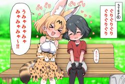 Rule 34 | &gt; &lt;, 2girls, :3, animal ears, bare shoulders, bench, black hair, black legwear, blonde hair, blouse, blush, bow, bowtie, commentary request, elbow gloves, extra ears, closed eyes, fang, gloves, grass, hands on lap, heart, high-waist skirt, kaban (kemono friends), kemono friends, multiple girls, nose blush, open mouth, pantyhose, print gloves, print legwear, print skirt, ransusan, red shirt, serval (kemono friends), serval print, serval tail, shirt, short hair, short sleeves, shorts, sitting, skirt, sleeveless, t-shirt, tail, thighhighs, traditional bowtie, translation request, white shirt