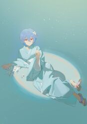 Rule 34 | 1girl, absurdres, alternate costume, aqua background, aqua kimono, ayanami rei, bandaged arm, bandaged neck, bandages, blue hair, brown footwear, chinese commentary, commentary request, daisy, expressionless, flower, from above, full body, hair between eyes, hair flower, hair ornament, hand up, highres, holding, holding flower, japanese clothes, kimono, lao yali, looking at viewer, lying, neon genesis evangelion, obi, okobo, on back, parted lips, red eyes, sandals, sash, short hair, simple background, solo, wide sleeves