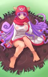 Rule 34 | 1girl, animal ears, barefoot, blush, breasts, commentary request, curly hair, dog ears, dragon quest, dragon quest ii, dress, eyes visible through hair, full body, grass, hair between eyes, hood, hood up, large breasts, long hair, looking at viewer, open mouth, partially submerged, princess of moonbrook, purple hair, red hood, sakakura (sariri), smile, solo, water, wet, wet clothes, wet dress, white dress