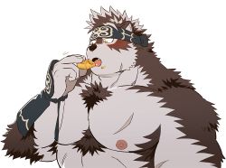 Rule 34 | 1boy, ainu clothes, animal ears, bara, chest hair, eating, fang, furry, furry male, grey fur, grey hair, headband, horkeu kamui, large pectorals, male focus, motion lines, muscular, muscular male, nipples, nude, open mouth, pectorals, rossciaco, scar, scar on chest, short hair, solo, tail, tokyo houkago summoners, two-tone fur, upper body, white background, white fur, wolf boy, wolf ears, wolf tail, yellow eyes