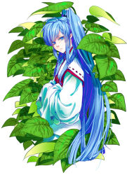 Rule 34 | 1girl, bad id, bad pixiv id, blue eyes, blue hair, crossed arms, female focus, japanese clothes, komenama, leaf, long hair, looking at viewer, matching hair/eyes, plant, ponytail, sleeves past wrists, solo, white background