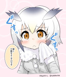 Rule 34 | 10s, 1girl, :&lt;, antenna hair, blush, breasts, coat, commentary request, feather trim, gradient background, handkerchief, highres, kemono friends, long sleeves, looking at viewer, northern white-faced owl (kemono friends), orange eyes, pink background, small breasts, solo, tearing up, translation request, twitter username, upper body, white hair, wide-eyed, winter clothes, winter coat, yamato nadeshiko