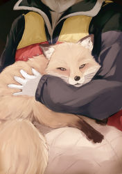 Rule 34 | 1girl, animal, animal ears, batta (kanzume quality), fluffy, fox, gloves, head out of frame, holding, holding animal, jacket, long sleeves, looking at viewer, original, whiskers, white gloves