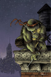 Rule 34 | 1boy, cityscape, comic cover, commentary, david petersen, english commentary, holding, holding weapon, male focus, night, night sky, ninja, official art, on roof, outdoors, raphael (tmnt), red mask, sai (weapon), sky, solo, star (sky), starry sky, teenage mutant ninja turtles, teenage mutant ninja turtles (idw), turtle boy, weapon, western comics (style)