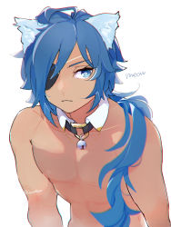 Rule 34 | 1boy, abs, animal ears, bell, blue hair, cat ears, closed mouth, dark-skinned male, dark skin, detached collar, eyepatch, frown, genshin impact, hair over shoulder, highres, inoooooue, jingle bell, kaeya (genshin impact), kemonomimi mode, long hair, male focus, neck bell, nude, one eye covered, simple background, solo, toned, toned male, upper body, white background