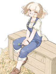 Rule 34 | 1girl, animal ears, bare arms, blonde hair, blouse, box, brown hair, clover, collarbone, curly hair, denim, four-leaf clover, full body, grin, hay, highres, holding, horizontal pupils, kemono friends, looking at viewer, medium hair, multicolored hair, official alternate costume, overalls, own hands together, puffy short sleeves, puffy sleeves, sheep (kemono friends), sheep ears, shirt, shoes, short sleeves, simple background, sitting, smile, solo, torento, v arms, white background, wooden box, yellow eyes