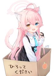 Rule 34 | 1girl, :d, absurdres, ahoge, animal ear fluff, animal ears, black gloves, black skirt, blue archive, blue eyes, blue necktie, blush, box, cardboard box, cat ears, cat girl, cat tail, collared shirt, commentary request, fang, gloves, highres, hoshino (blue archive), in box, in container, kemonomimi mode, long hair, long sleeves, looking at viewer, necktie, open mouth, pink hair, plaid, plaid skirt, rucaco, shirt, simple background, skirt, smile, solo, sweatdrop, tail, very long hair, white background, white shirt