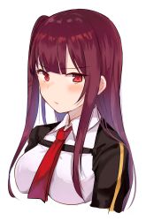 Rule 34 | 1girl, blush, breasts, chiune (yachi), closed mouth, collared shirt, commentary request, girls&#039; frontline, highres, long hair, medium breasts, neckerchief, one side up, purple hair, red eyes, red neckerchief, shirt, simple background, solo, upper body, very long hair, wa2000 (girls&#039; frontline), white background, white shirt