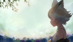 Rule 34 | 1girl, absurdres, animal ears, back, beleven, blonde hair, camisole, coyote (kemono friends), extra ears, flower, gloves, highres, hydrangea, jacket, kemono friends, kemono friends v project, outdoors, rain, short hair, solo, umbrella, upper body, virtual youtuber, wolf ears, wolf girl