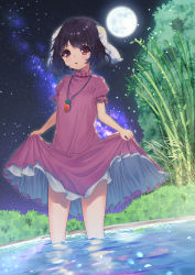 Rule 34 | 1girl, absurdres, an skill, animal ears, bamboo, black hair, blush, breasts, brown eyes, bush, carrot necklace, clothes lift, commentary request, d:, dress, dress lift, eyelashes, eyes visible through hair, fireflies, floppy ears, frilled dress, frills, full moon, highres, holding, holding clothes, holding dress, inaba tewi, lifting own clothes, light blush, looking at viewer, milky way, moon, necklace, night, night sky, open mouth, outdoors, petticoat, pink dress, puffy short sleeves, puffy sleeves, rabbit ears, short hair, short sleeves, sky, small breasts, solo, standing, star (sky), starry sky, tareme, thighs, touhou, tree, wading, water