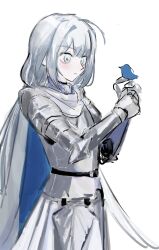 1girl armor artist_request bird bird_on_hand blue_eyes cape grey_hair grimlight long_hair simple_background sketch solo source_request tin_knight_(grimlight) upper_body white_background