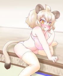 Rule 34 | 10s, animal ears, blonde hair, blush, commentary, highres, kemono friends, lion (kemono friends), lion ears, lion tail, sitting, solo, tail, thighhighs, uho (uhoyoshi-o), underwear, underwear only, yellow eyes, yellow thighhighs