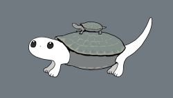 Rule 34 | animal, animal on back, creature, gregor (tsurunoka), grey background, highres, looking at viewer, no humans, original, simple background, tsumetai (tsurunoka), turtle, turtle costume