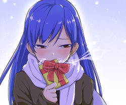 Rule 34 | 1girl, blue hair, blush, box, breath, brown eyes, covered mouth, covering own mouth, eyebrows, gift, gift box, grey jacket, half-closed eyes, holding, holding gift, idolmaster, idolmaster (classic), jacket, kisaragi chihaya, long hair, moketa, outdoors, ribbon, scarf, simple background, sky, snow, solo, standing, white scarf, winter