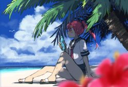 Rule 34 | 1girl, beach, bird, blue one-piece swimsuit, blurry, blurry foreground, bottle, cloud, day, flower, from side, hibiscus, holding, holding bottle, i-168 (kancolle), kakiyayoshi, kantai collection, long hair, ocean, one-hour drawing challenge, one-piece swimsuit, outdoors, palm tree, pink hair, pink neckwear, ponytail, profile, ramune, sailor collar, sand, sandals, shade, sitting, sky, solo, swimsuit, swimsuit under clothes, tree, water