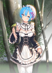 Rule 34 | 1girl, animal, animal on hand, apron, bird, bird on hand, black bow, black dress, black sleeves, blue eyes, blue hair, blush, bow, breasts, cleavage, closed mouth, commentary request, day, detached sleeves, dress, frilled apron, frilled dress, frills, hair between eyes, hair ornament, hair ribbon, head tilt, juliet sleeves, lloule, long sleeves, medium breasts, outdoors, pantyhose, pink ribbon, puffy sleeves, re:zero kara hajimeru isekai seikatsu, rem (re:zero), ribbon, sleeves past wrists, smile, solo, tree, waist apron, white apron, white pantyhose, wide sleeves, x hair ornament