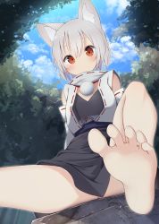 Rule 34 | 1girl, animal ear fluff, animal ears, arm support, barefoot, blush, day, detached sleeves, feet, female focus, from below, hair between eyes, highres, inubashiri momiji, leaning back, mamemochi, nature, outdoors, pom pom (clothes), short hair, silver hair, sitting, soles, solo, thighs, toes, touhou, wolf ears