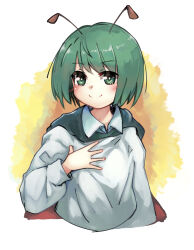 Rule 34 | 1girl, antennae, black cape, blush, cape, closed mouth, collared shirt, commentary request, derivative work, flat chest, ginnkei, green eyes, green hair, hand on own chest, long sleeves, looking at viewer, loose clothes, loose shirt, medium bangs, red cape, redrawn, shirt, short hair, smile, solo, touhou, two-sided cape, two-sided fabric, upper body, white shirt, wriggle nightbug