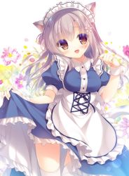 Rule 34 | 1girl, :d, animal ears, apron, blue dress, blush, breasts, brown eyes, brown hair, cat day, cat ears, cat girl, cat tail, collared dress, commentary request, dress, flower, frilled apron, frilled dress, frills, hair between eyes, hair flower, hair ornament, hand up, head tilt, long hair, maid headdress, medium breasts, open mouth, original, pink flower, puffy short sleeves, puffy sleeves, purple flower, short sleeves, smile, solo, tail, thighhighs, very long hair, white apron, white thighhighs, wrist cuffs, yukie (peach candy)