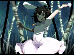 Rule 34 | 1girl, :d, animal ears, bad id, bad pixiv id, bamboo, bamboo forest, black hair, carrot, female focus, forest, holding, holding clothes, holding panties, holding underwear, inaba tewi, kasuga ayumu (artist), kasuga ayumu (haruhipo), letterboxed, looking at viewer, nature, open mouth, panties, rabbit ears, shade, short hair, smile, solo, touhou, underwear