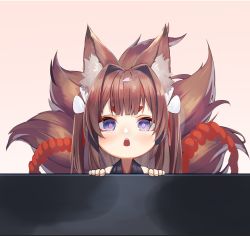 Rule 34 | 1girl, amagi-chan (azur lane), animal ear fluff, animal ears, azur lane, blush, brown hair, chestnut mouth, commentary request, fox ears, fox girl, fox tail, long hair, looking at viewer, multiple tails, purple eyes, rope, shimenawa, shimotsuki shio, short eyebrows, solo, tail, thick eyebrows, twintails