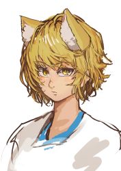 Rule 34 | 1girl, absurdres, animal ear fluff, animal ears, blonde hair, blush, chanta (ayatakaoisii), closed mouth, fox ears, highres, looking at viewer, messy hair, portrait, simple background, slit pupils, solo, touhou, white background, yakumo ran, yellow eyes