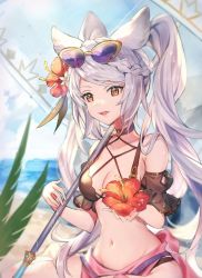 Rule 34 | 1girl, animal ears, bikini, black bikini, braid, breasts, cleavage, cloud, commentary request, erune, eyewear on head, flower, fraux, granblue fantasy, groin, hair flower, hair ornament, hibiscus, highres, long hair, medium breasts, navel, official alternate costume, open mouth, outdoors, plant, shiromimin, solo, sunglasses, swimsuit, twintails, umbrella, upper body, water, yellow eyes