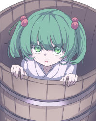 Rule 34 | 1girl, absurdres, bucket, eyebrows hidden by hair, green eyes, hair bobbles, hair ornament, highres, in bucket, in container, kame (kamepan44231), kisume, looking at viewer, one-hour drawing challenge, open mouth, short hair, simple background, solo, touhou, two side up, upper body, white background