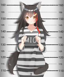 Rule 34 | 1girl, animal ears, highres, hololive, ookami mio, prison clothes, shirt, shorts, striped clothes, striped shirt, striped shorts, tail, virtual youtuber, wolf ears, wolf girl, wolf tail