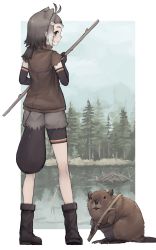 Rule 34 | 1girl, absurdres, alenka, american beaver (kemono friends), animal ears, beaver, beaver ears, beaver tail, bike shorts, bike shorts under shorts, black gloves, boots, brown eyes, brown footwear, brown jacket, cutoffs, elbow gloves, extra ears, from behind, gloves, grey hair, grey shorts, highres, jacket, kemono friends, looking at viewer, multicolored hair, short shorts, shorts, sidelocks, solo, stick, tail, torn clothes, torn sleeves, white hair