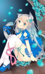 Rule 34 | 1girl, animal ears, aqua nails, blue dress, blue eyes, blue flower, blue footwear, blush, braid, breasts, cat ears, cat girl, cat tail, cleavage, dress, dutch angle, fang, flower, grey hair, hair between eyes, hair ornament, hand on own knee, knees up, large breasts, legs together, long hair, looking at viewer, mary janes, nail polish, night, night sky, open mouth, original, outdoors, petals, puffy short sleeves, puffy sleeves, satsuki mayuri, shoes, short sleeves, sitting, sky, solo, spring starflower, tail, white legwear, x hair ornament