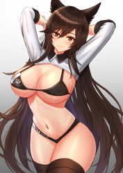Rule 34 | 1girl, alternate costume, animal ears, arms behind head, atago (azur lane), atago (stunning speedster) (azur lane), azur lane, bikini, black hair, black thighhighs, breasts, brown eyes, cleavage, commentary request, contrapposto, cowboy shot, extra ears, grey background, highres, large breasts, logo, long hair, looking at viewer, midriff, mole, mole under eye, navel, race queen, ribbon, rothy (user cezn8425), shrug (clothing), shrugging, sleeve cuffs, smile, solo, swept bangs, swimsuit, thighhighs, two-tone bikini, white ribbon
