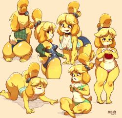 Rule 34 | 1girl, all fours, animal crossing, ass, barefoot, bell, blonde hair, blush, bottomless, breasts, cleavage, denim, denim shorts, dog girl, dog tail, from behind, furry, isabelle (animal crossing), jingle bell, legs, leotard, looking at viewer, maiz-ken, navel, nintendo, open mouth, shorts, simple background, sitting, smile, soles, standing, sweat, tail, tank top, thick eyebrows