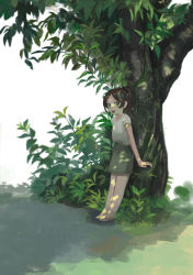 Rule 34 | 1girl, :d, absurdres, against tree, arms at sides, barefoot, brown hair, commentary request, dappled sunlight, full body, grass, green eyes, green skirt, highres, leaf, legs together, looking at viewer, open mouth, original, outdoors, pencil skirt, ponytail, round teeth, shirt, short hair, short sleeves, simple background, skirt, smile, solo, standing, sunlight, teeth, tree, turquoise iro, white background, white shirt