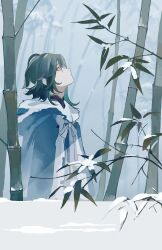 Rule 34 | 1boy, bamboo, bamboo forest, blue hair, coat, eyeshadow, forest, from side, fur-trimmed coat, fur trim, genshin impact, highres, hood, hood down, leaf, looking up, makeup, nature, outdoors, qingxin gua yu, red eyeshadow, snow, solo, standing, winter clothes, winter coat, xiao (genshin impact), yellow eyes
