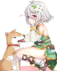 Rule 34 | 1girl, blush, breasts, dog, elf, eskimofox, highres, kokkoro (princess connect!), pointy ears, princess connect!, red eyes, small breasts, white hair