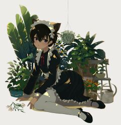 Rule 34 | 1girl, absurdres, animal ear fluff, animal ears, apron, black footwear, black hair, blush, cat ears, cat girl, chair, collared dress, commentary request, dress, flower, frilled dress, frills, full body, grey eyes, hair between eyes, hanging plant, highres, kgt (pixiv12957613), long sleeves, looking at viewer, maid, maid apron, maid headdress, mary janes, neck ribbon, one side up, original, pantyhose, parted lips, partial commentary, plant, potted plant, puffy long sleeves, puffy sleeves, red ribbon, revision, ribbon, shoes, short hair, signature, simple background, solo, watering can, white background, white flower, white pantyhose