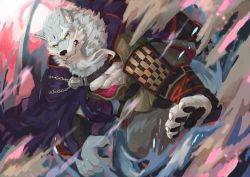 Rule 34 | 1boy, absurdres, armor, bara, cape, furry, furry male, greaves, highres, law (sdorica), looking at viewer, male focus, motion blur, mowang yu, muscular, outdoors, pants, purple cape, sdorica, solo, wolf, yellow eyes