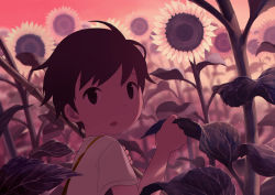 Rule 34 | 1boy, brown eyes, brown hair, child, commentary request, field, flower, flower field, holding, holding stick, looking at viewer, looking back, male focus, nature, noeyebrow (mauve), open mouth, original, outdoors, photoshop (medium), red sky, shirt, short hair, short sleeves, signature, sky, solo, stick, summer, sunflower, sunflower field, sunset, white shirt, yellow flower