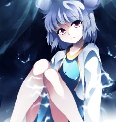 Rule 34 | 1girl, absurdres, animal ears, bare legs, capelet, grey hair, highres, kotaroukuroo, looking at viewer, mouse ears, nazrin, red eyes, short hair, smile, solo, touhou