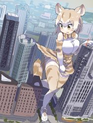 Rule 34 | 1girl, absurdres, animal ears, animal print, bare shoulders, blush, bow, bowtie, cat (kemono friends), cat ears, cat girl, cat print, cat tail, city, commentary request, elbow gloves, giant, gloves, high-waist skirt, highres, iwa (iwafish), kemono friends, light brown hair, multicolored hair, print bow, print bowtie, print gloves, print neckwear, print skirt, print thighhighs, shirt, shoes, short hair, skirt, sleeveless, sneakers, solo, tail, thighhighs, white hair, white shirt, yellow eyes, zettai ryouiki