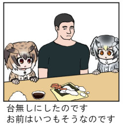 Rule 34 | 10s, 1boy, 2girls, brown eyes, brown hair, buttons, coat, comic, eurasian eagle owl (kemono friends), food, fur collar, fur trim, grey hair, hair between eyes, head wings, how to make sushi (meme), kemono friends, long sleeves, lowres, meme, multicolored hair, multiple girls, nori (seaweed), northern white-faced owl (kemono friends), open mouth, parody, personification, rice, salmon, short hair, soy sauce, sushi, table, translated, white hair, wings