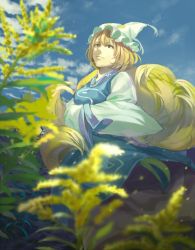 Rule 34 | 1girl, animal ears, animal hat, blonde hair, blue sky, blurry, breasts, closed mouth, cloud, day, depth of field, dutch angle, fox ears, fox tail, frills, from below, hands in opposite sleeves, hat, hidebo, highres, kitsune, kyuubi, long sleeves, looking away, medium breasts, mob cap, multiple tails, outdoors, plant, shade, sky, smile, solo, standing, tabard, tail, tassel, touhou, wide sleeves, wind, yakumo ran, yellow eyes