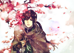 Rule 34 | 1boy, bad id, bad pixiv id, branch, brown hair, cherry blossoms, gradient background, jiang wei, kyuuta, male focus, nature, petals, plant, ponytail, shin sangoku musou, sketch, solo, tree, white background