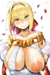 Rule 34 | 1girl, absurdres, ahoge, bare shoulders, blonde hair, blush, braid, breasts, clothes pull, collarbone, dress, dress pull, earrings, fate/extra, fate/grand order, fate (series), french braid, green eyes, grin, hair intakes, hero neisan, heroic spirit formal dress, highres, huge filesize, jewelry, large areolae, large breasts, long hair, looking at viewer, necklace, nero claudius (fate), nero claudius (fate) (all), nero claudius (fate/extra), nero claudius (formal dress) (fate), nipples, official alternate costume, one breast out, petals, simple background, smile, sweat, white background, white dress
